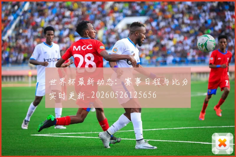世界杯最新动态:赛事日程与比分实时更新_20260526125656
